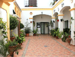 Restaurante Oliva de Nerja